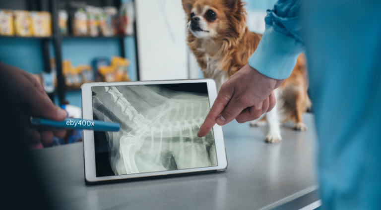 Eby400x: Revolutionizing Modern Technology