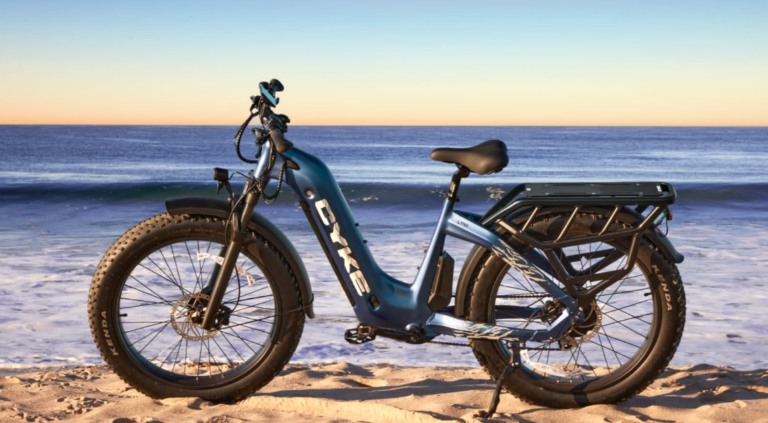 cheap off road electric bike