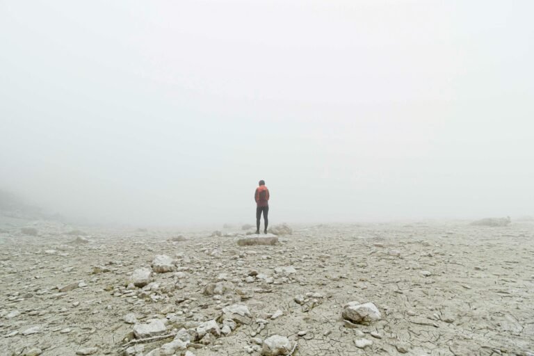 enthusiasts is abuzz