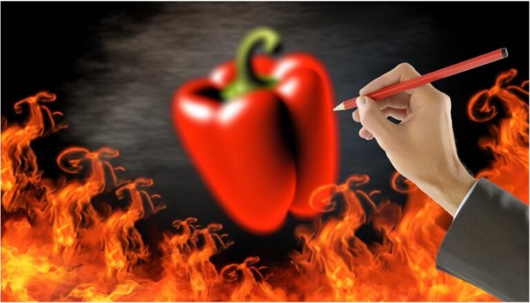 Everything You Need to Know About Capsimax